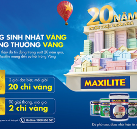Sơn Dulux & Sơn Maxilite 20 Gắn Bó Với Thị Trường Việt Nam